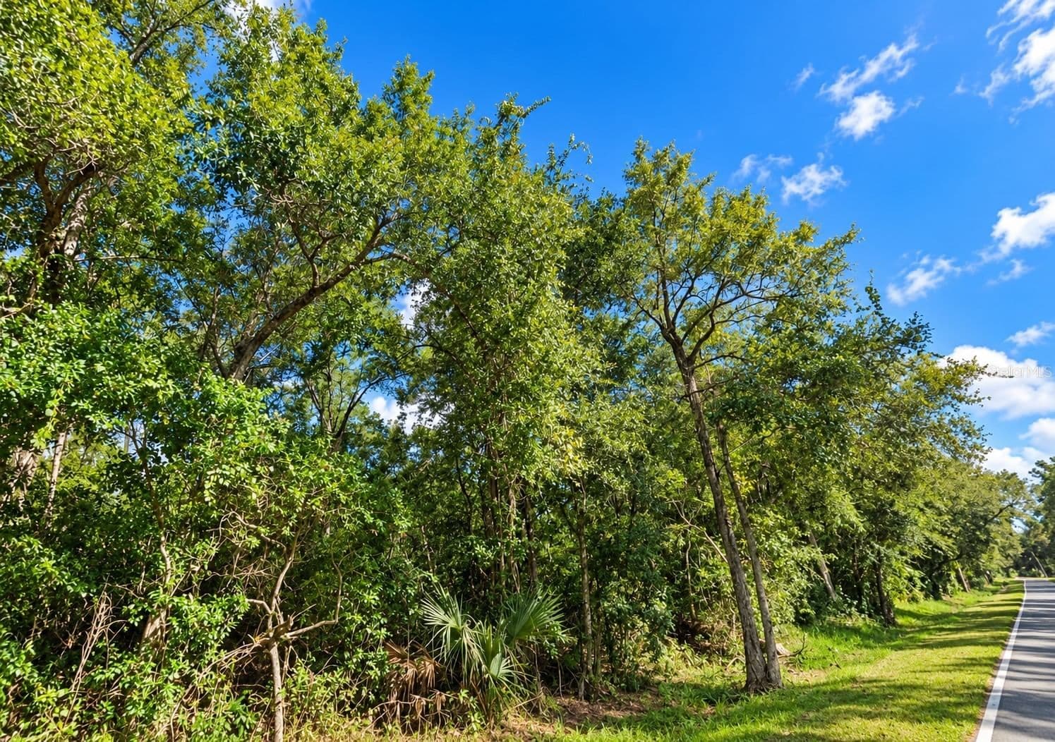 0 OLD KISSIMMEE Road