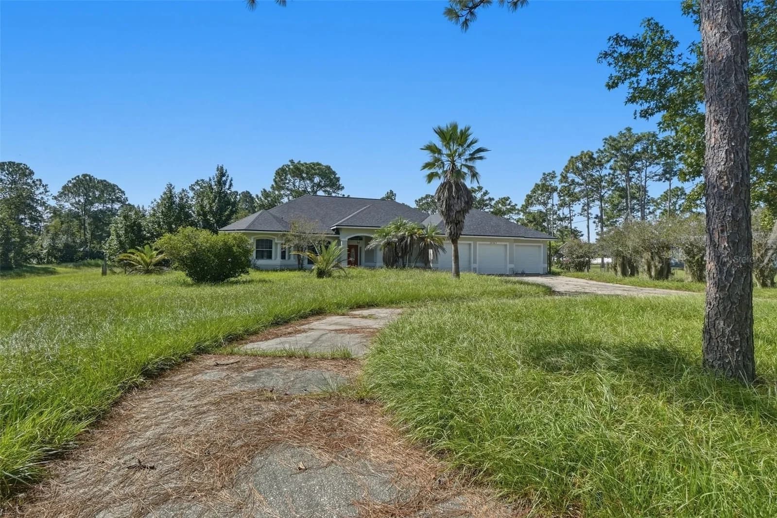 Photo 4 of 19562 MAJESTIC Street