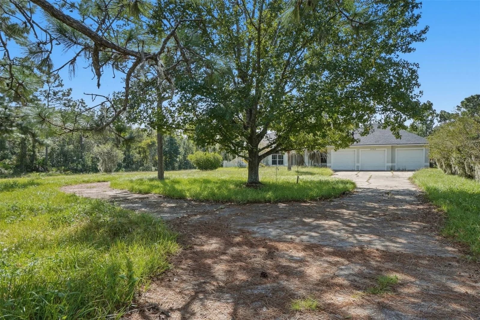 Photo 5 of 19562 MAJESTIC Street