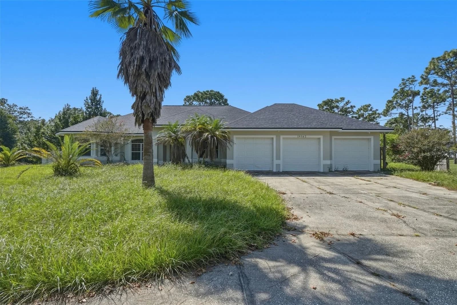 19562 MAJESTIC Street