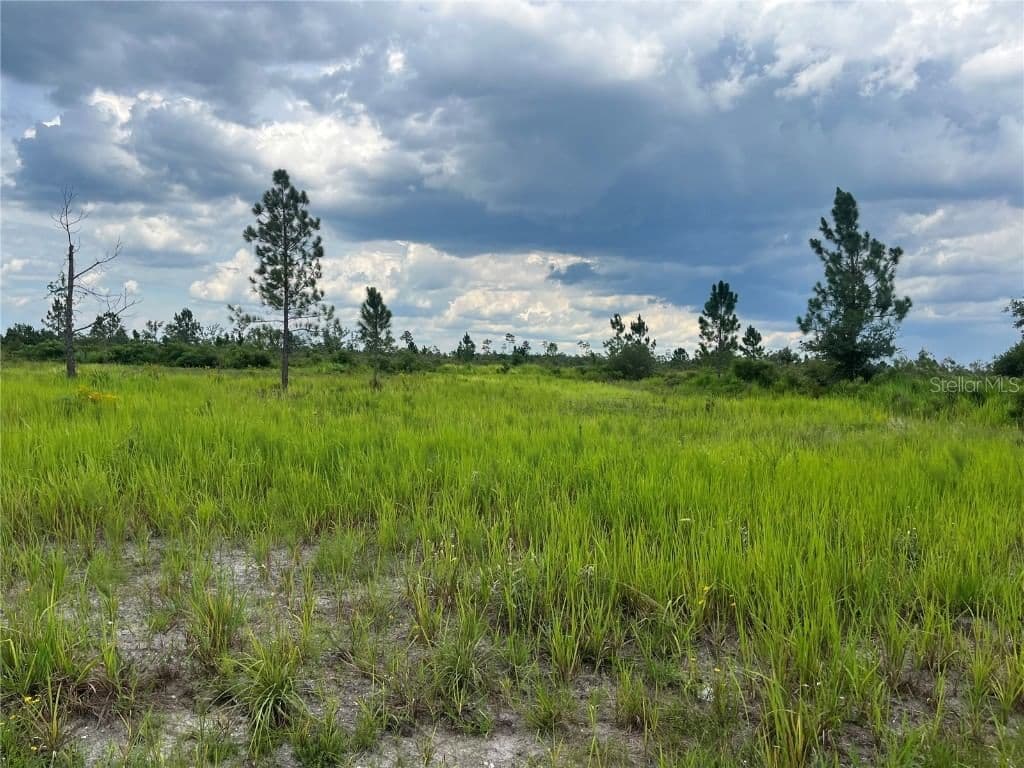 Photo 4 of PINNATA