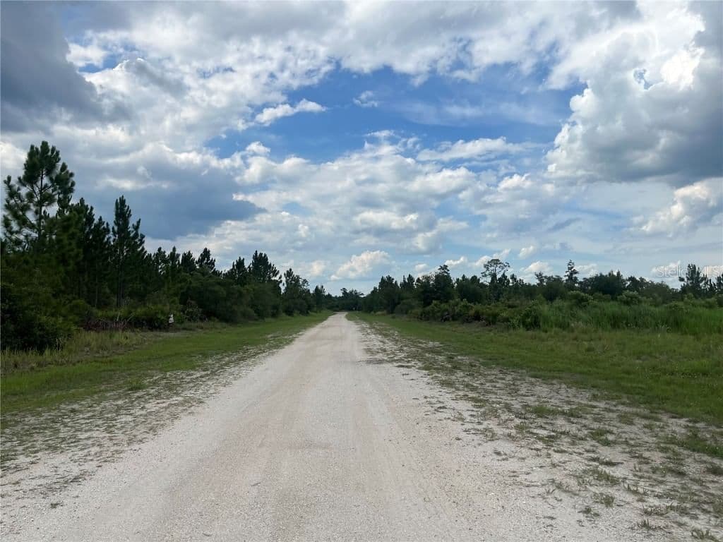 Photo 5 of PINNATA
