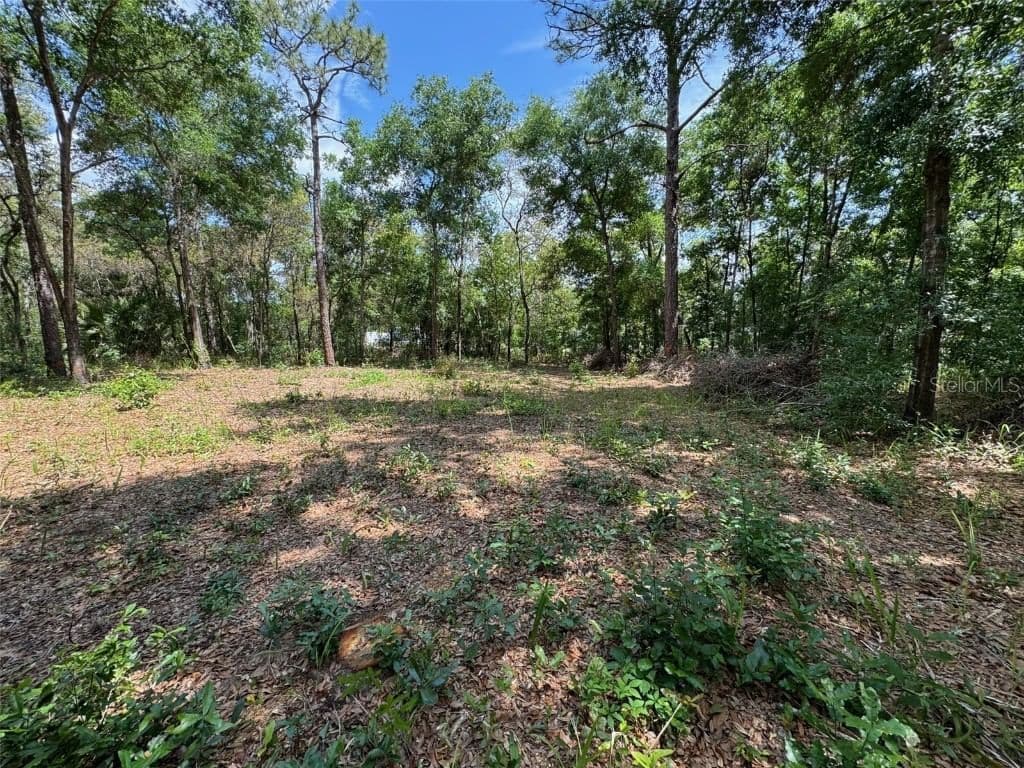 Photo 4 of TBD PINE WAY
