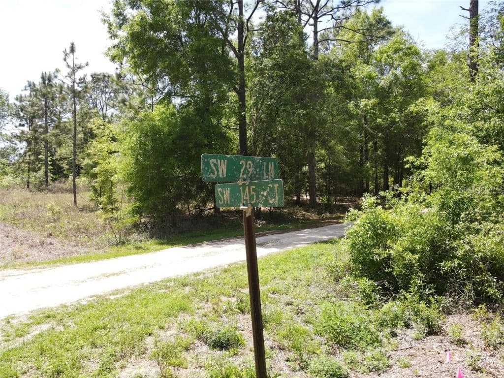 29