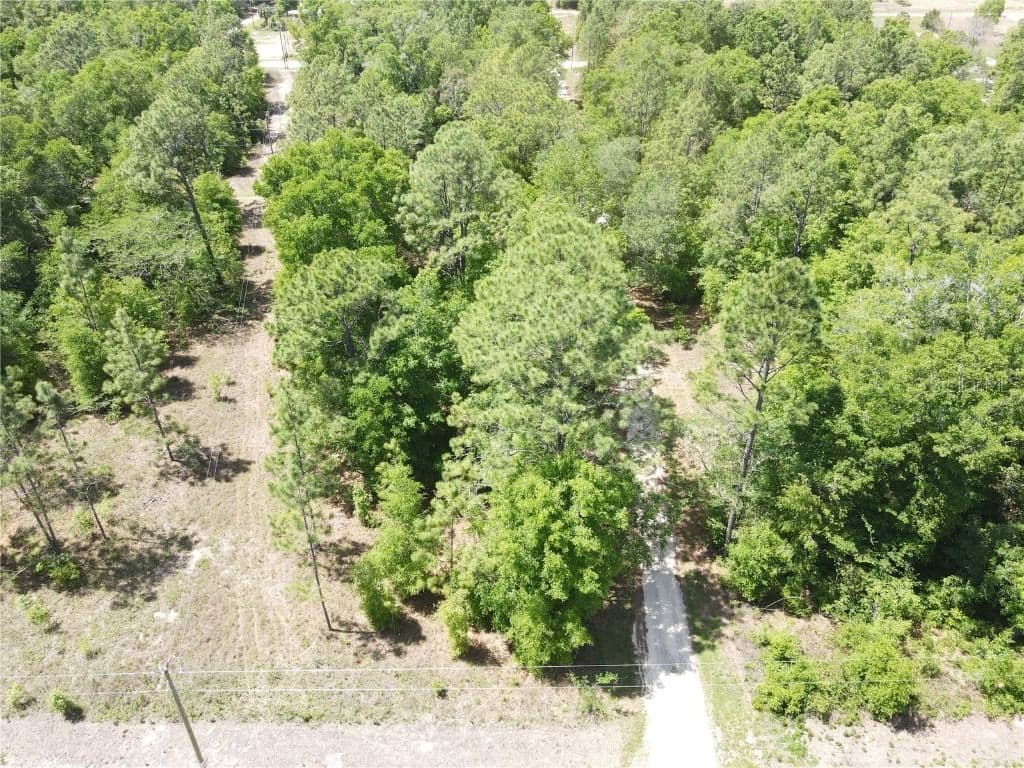 Photo 5 of 29