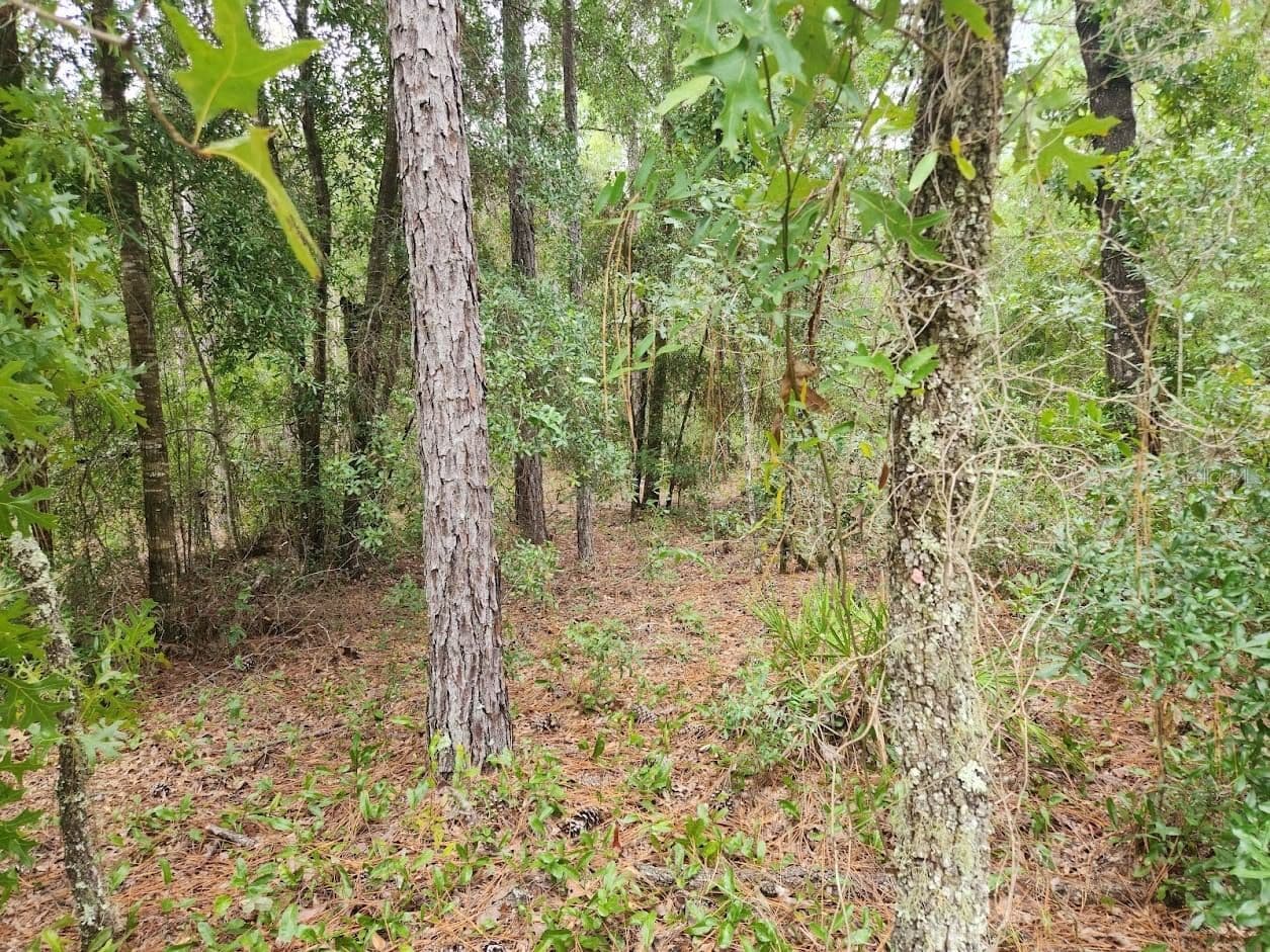 Photo 4 of lot 24 89TH