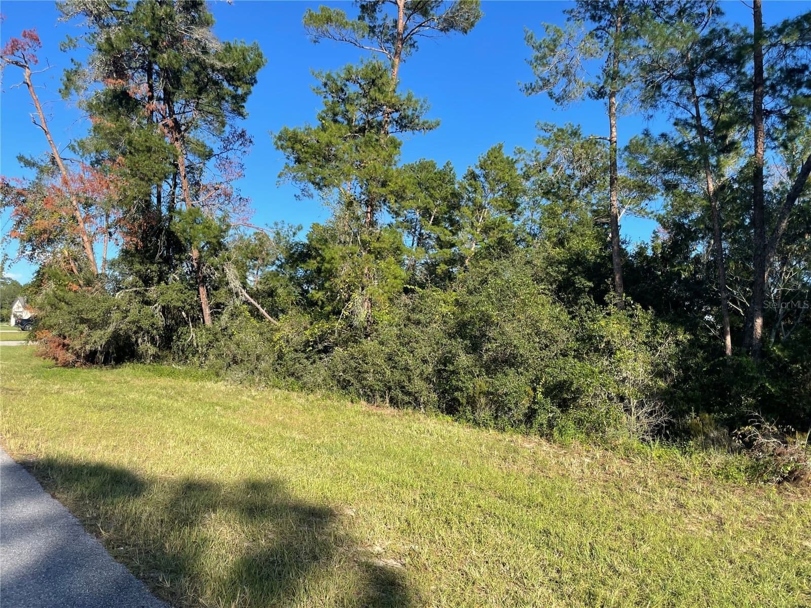 MARION OAKS LANE