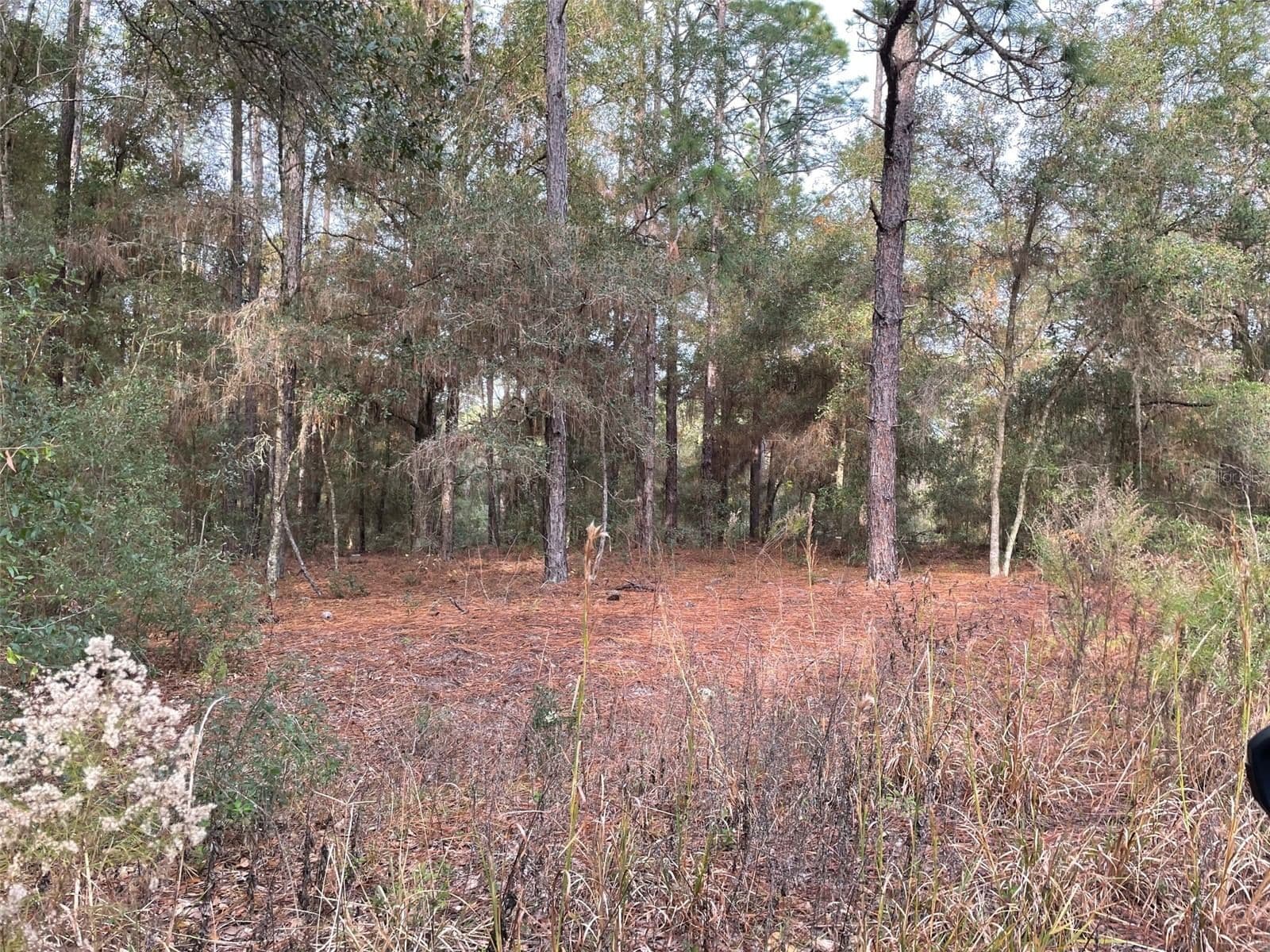 LOT 9 152ND
