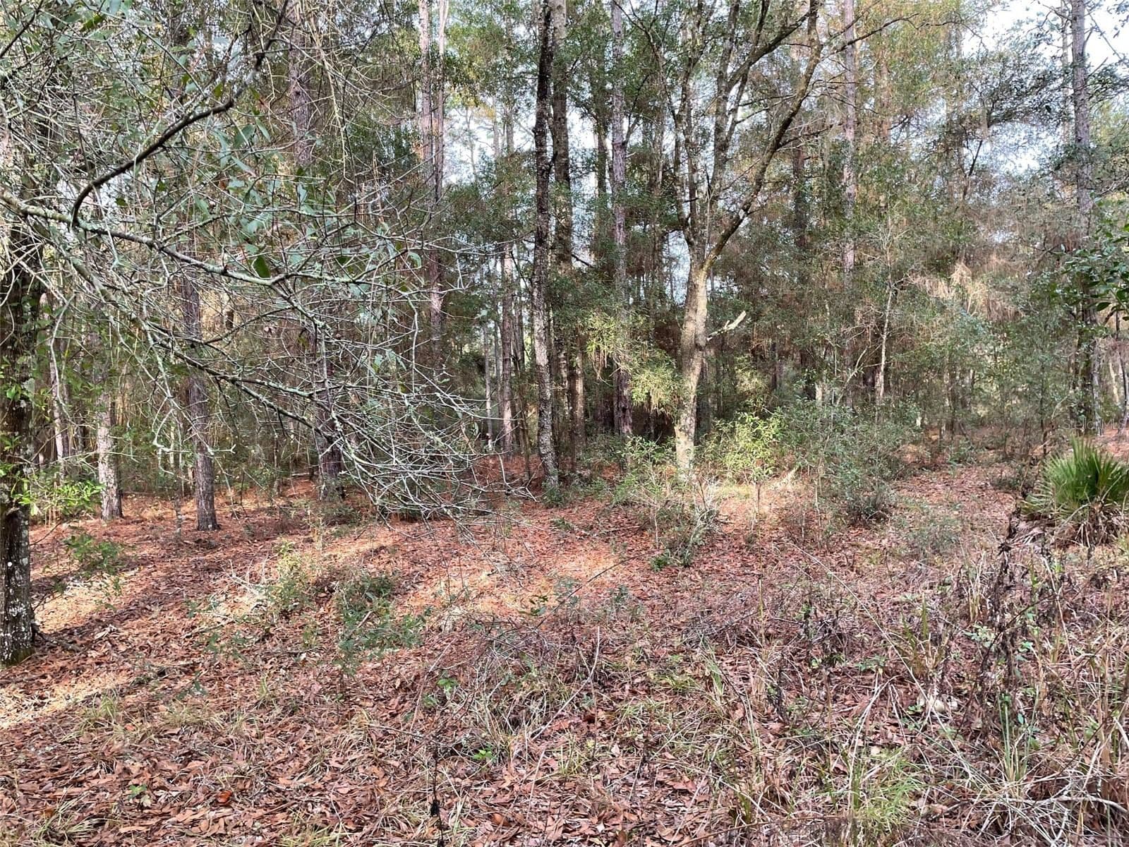 LOT 9 152ND