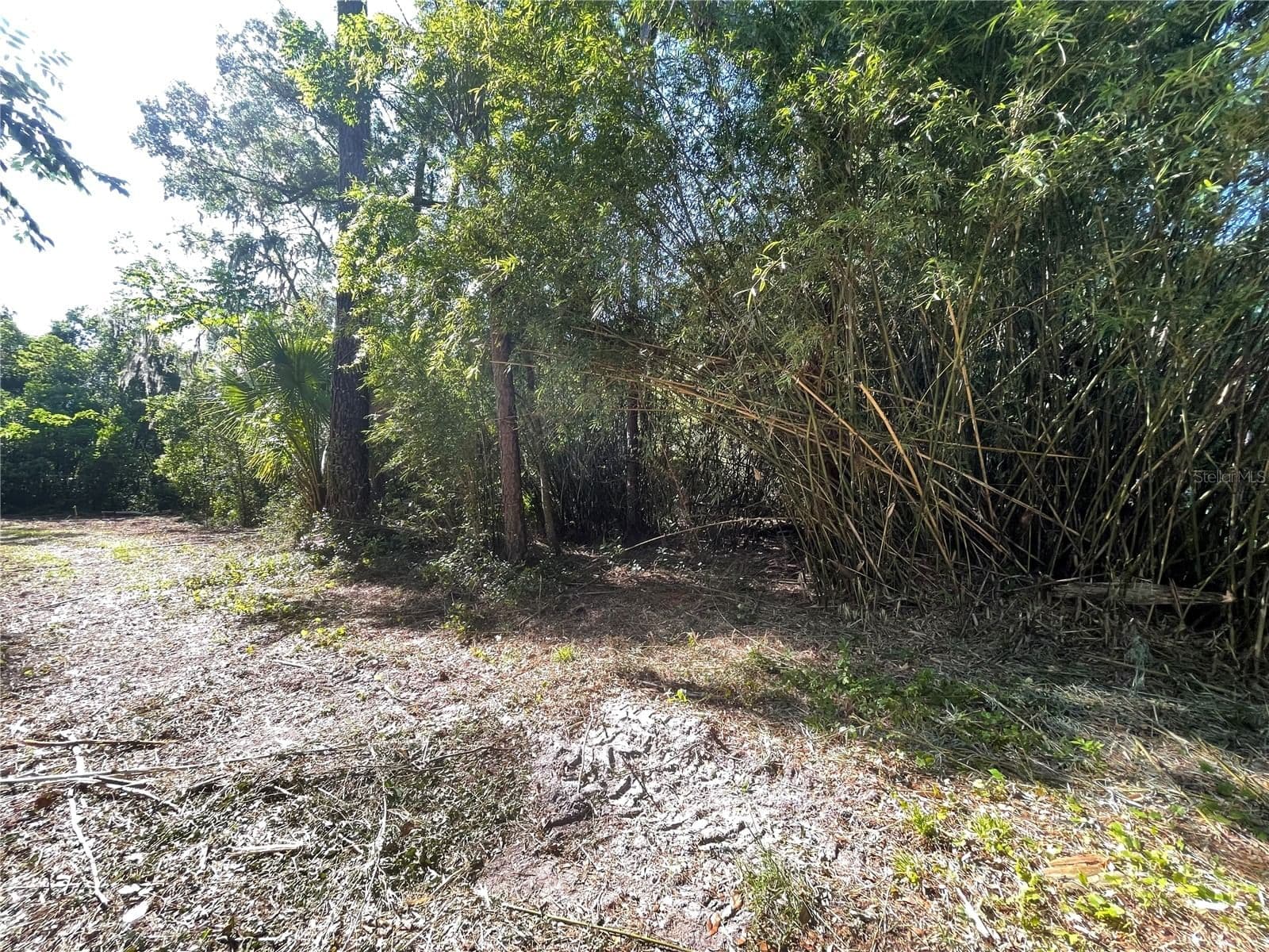 Photo 4 of 521 31ST