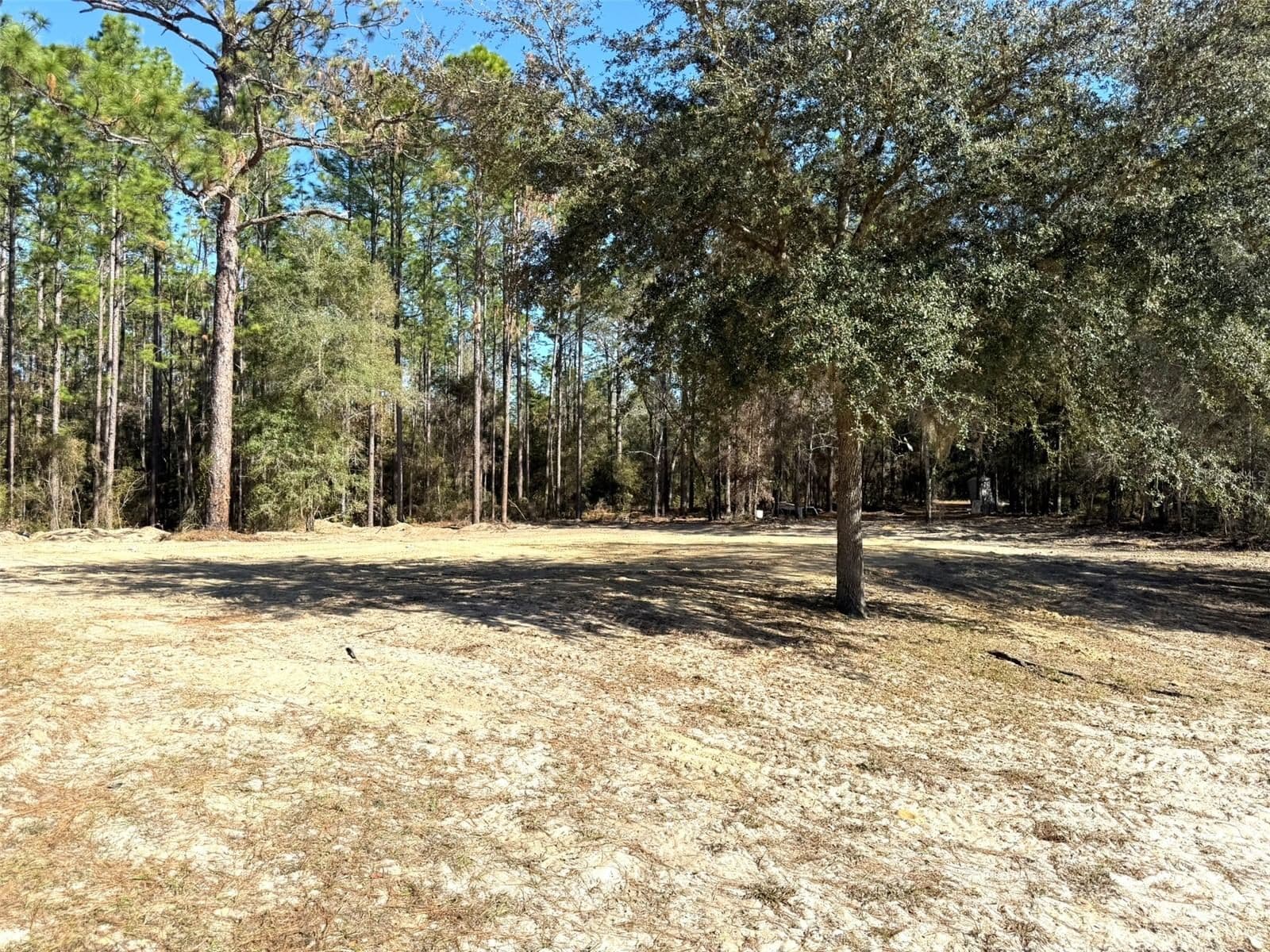 Photo 5 of 1180 158TH