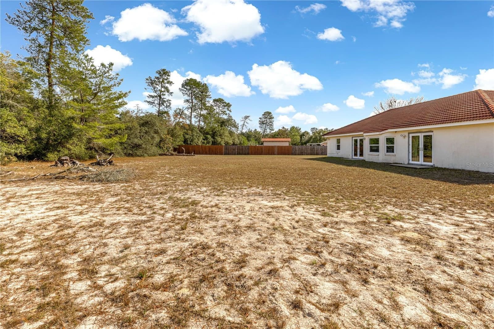 Photo 5 of 17179 41ST