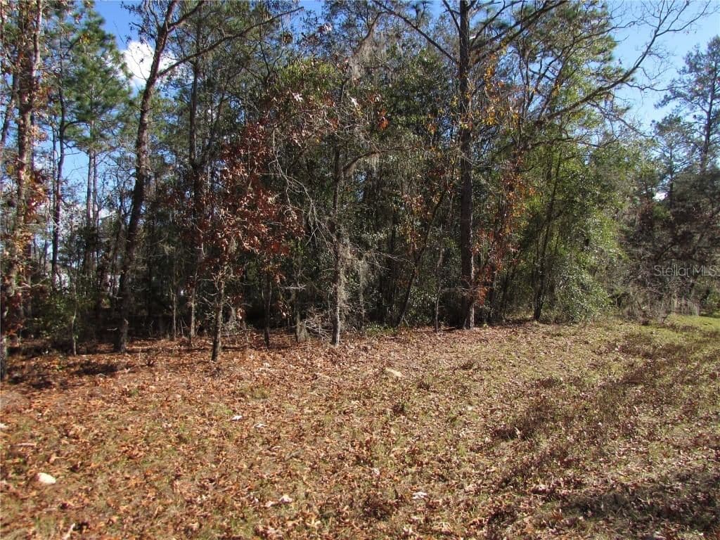 Photo 4 of Lot 18 156