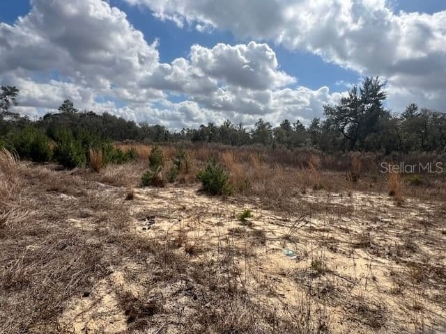 Photo 4 of 351 MARION OAKS
