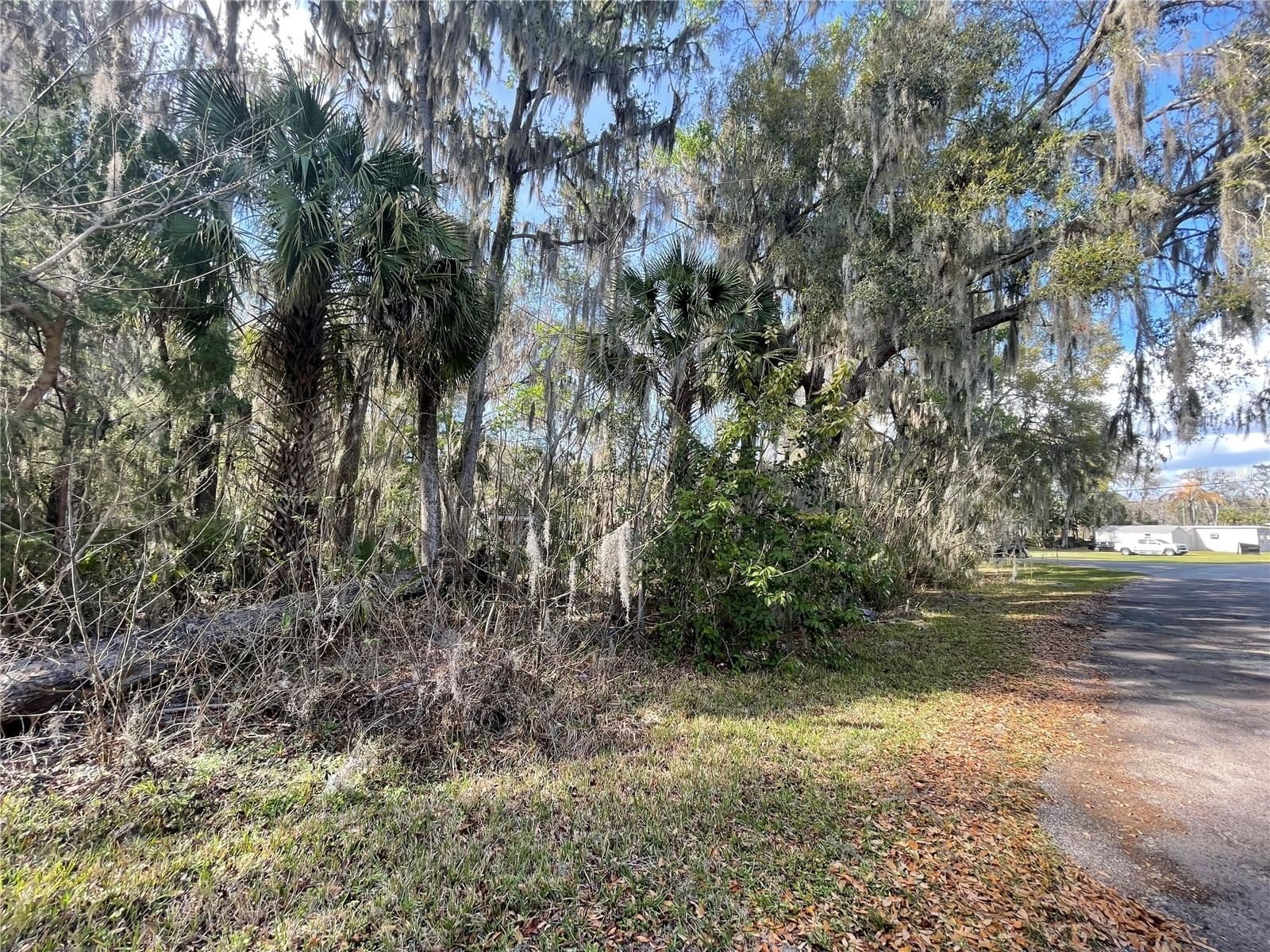 TBD 40TH LOOP