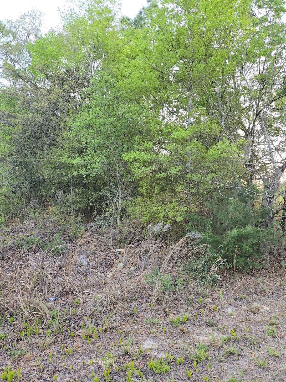 Photo 4 of TBD SW 27
