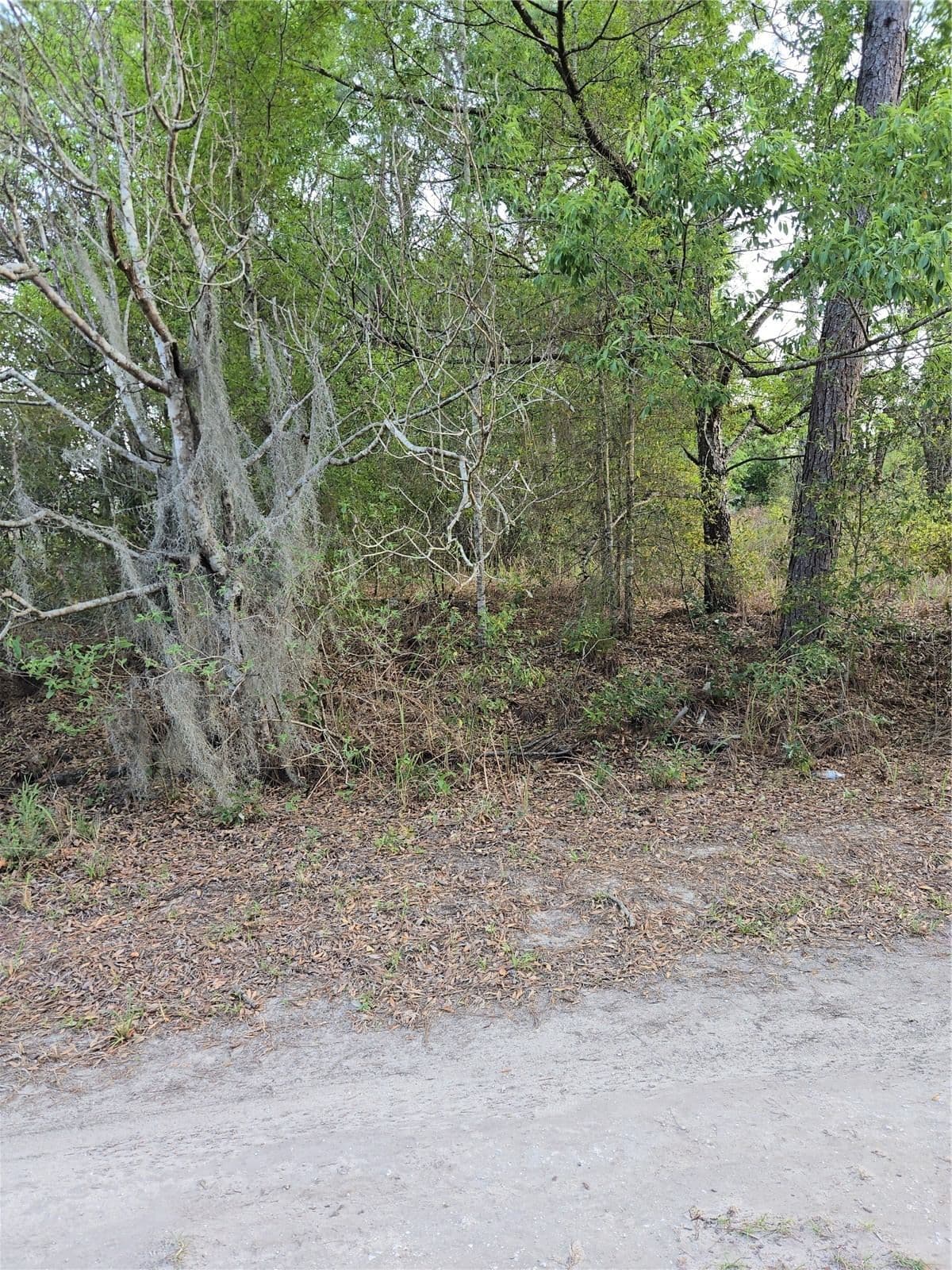 Photo 5 of TBD SW 27
