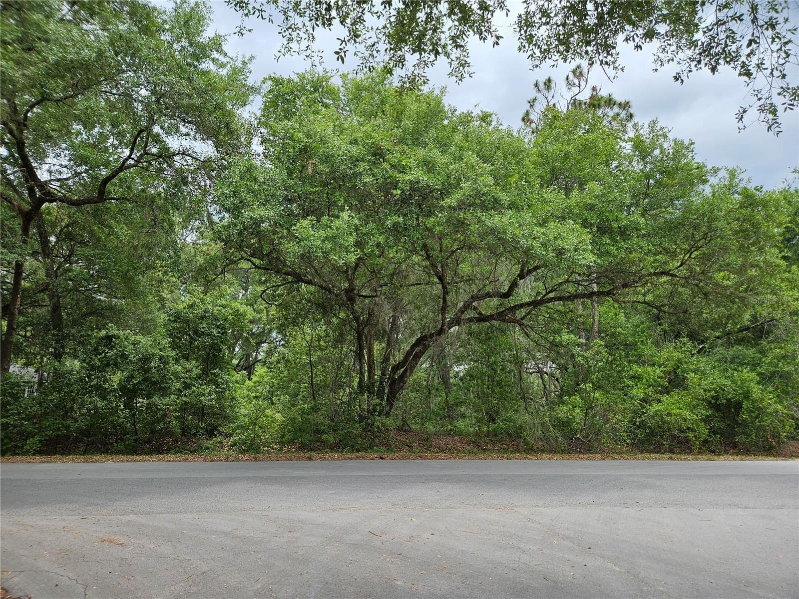 Photo 4 of LOT 14 LOCUST RUN COURSE