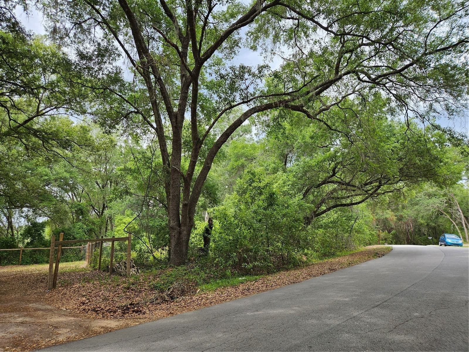 Photo 5 of LOT 14 LOCUST RUN COURSE