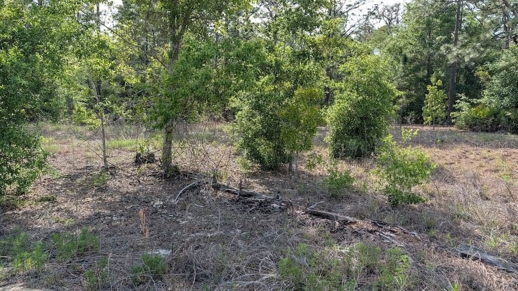 Lot 88 152 ND