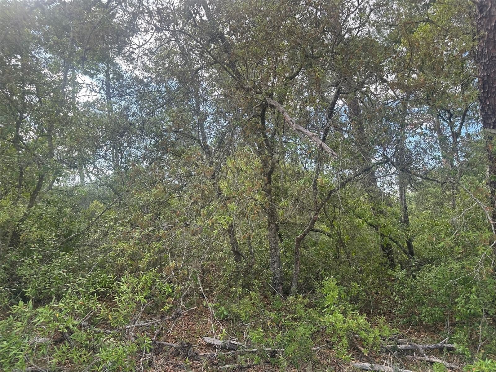 Photo 5 of Lot 6 170TH