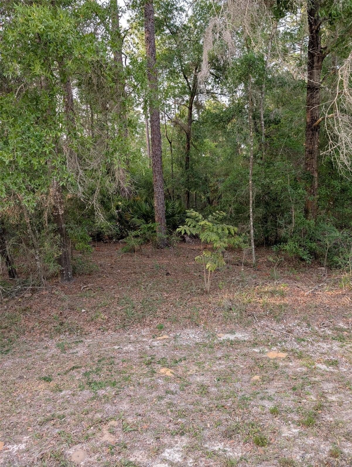 Photo 5 of 15475 36TH