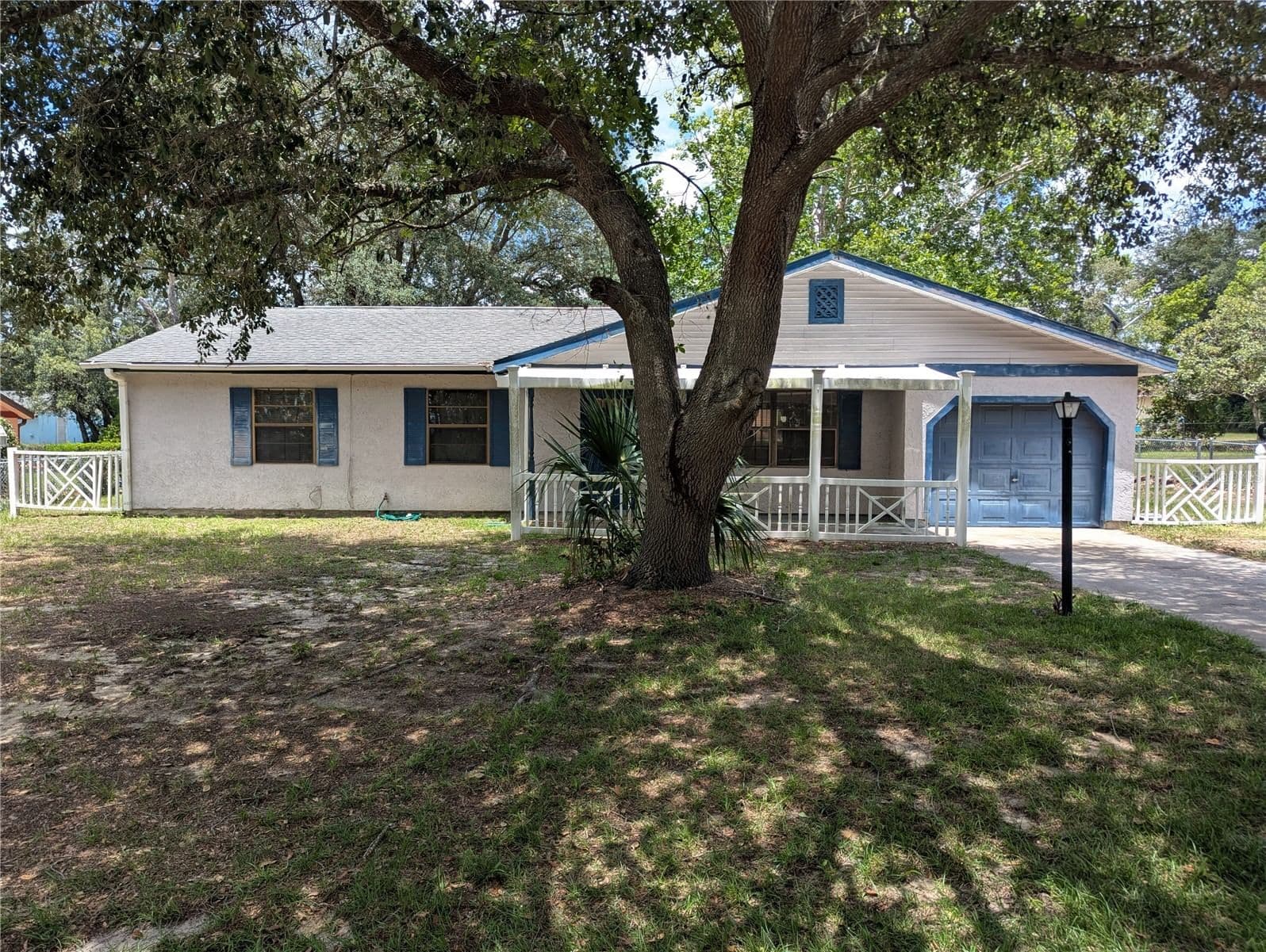 32 PALM