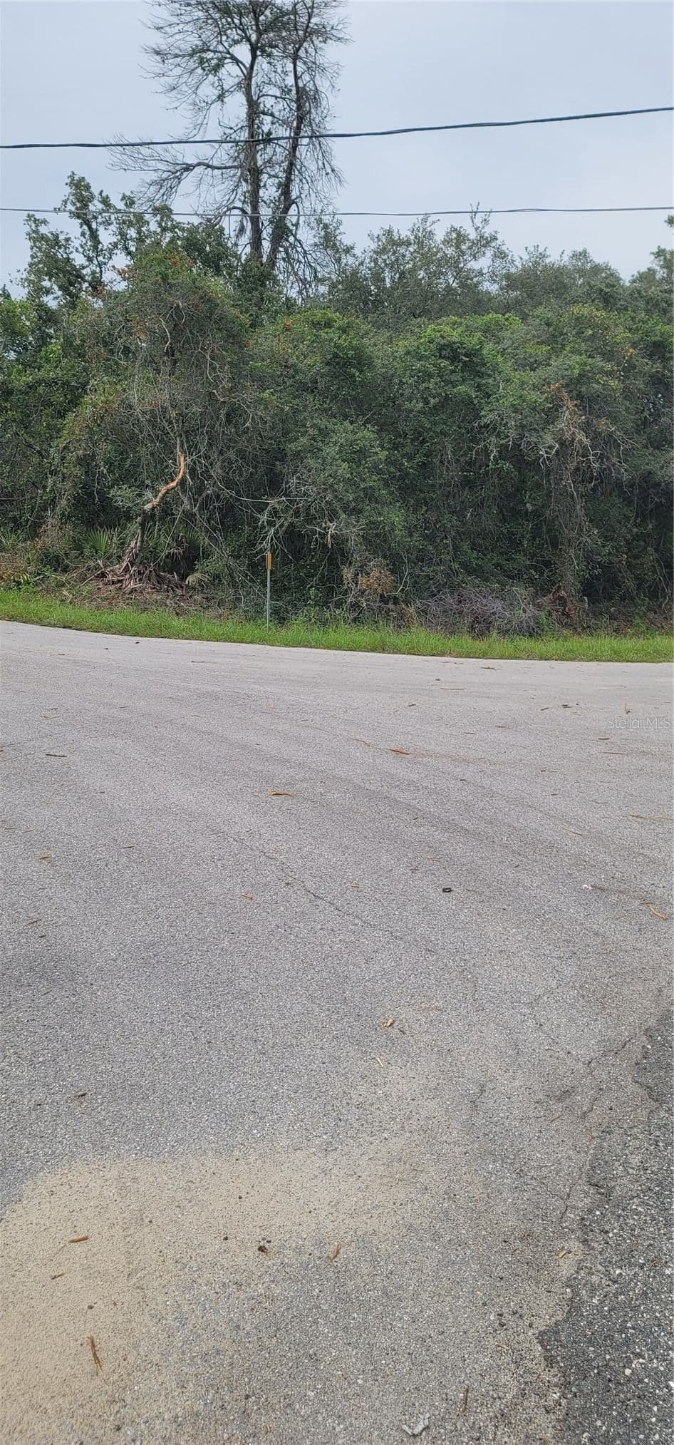 Photo 4 of Lot 15 OLIVE
