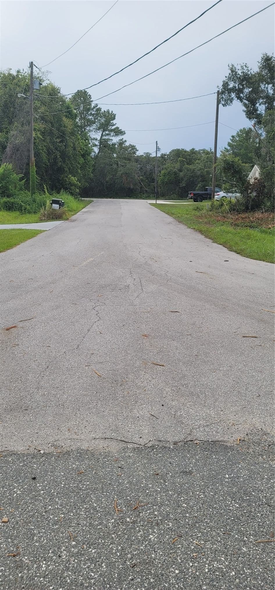Photo 5 of Lot 15 OLIVE