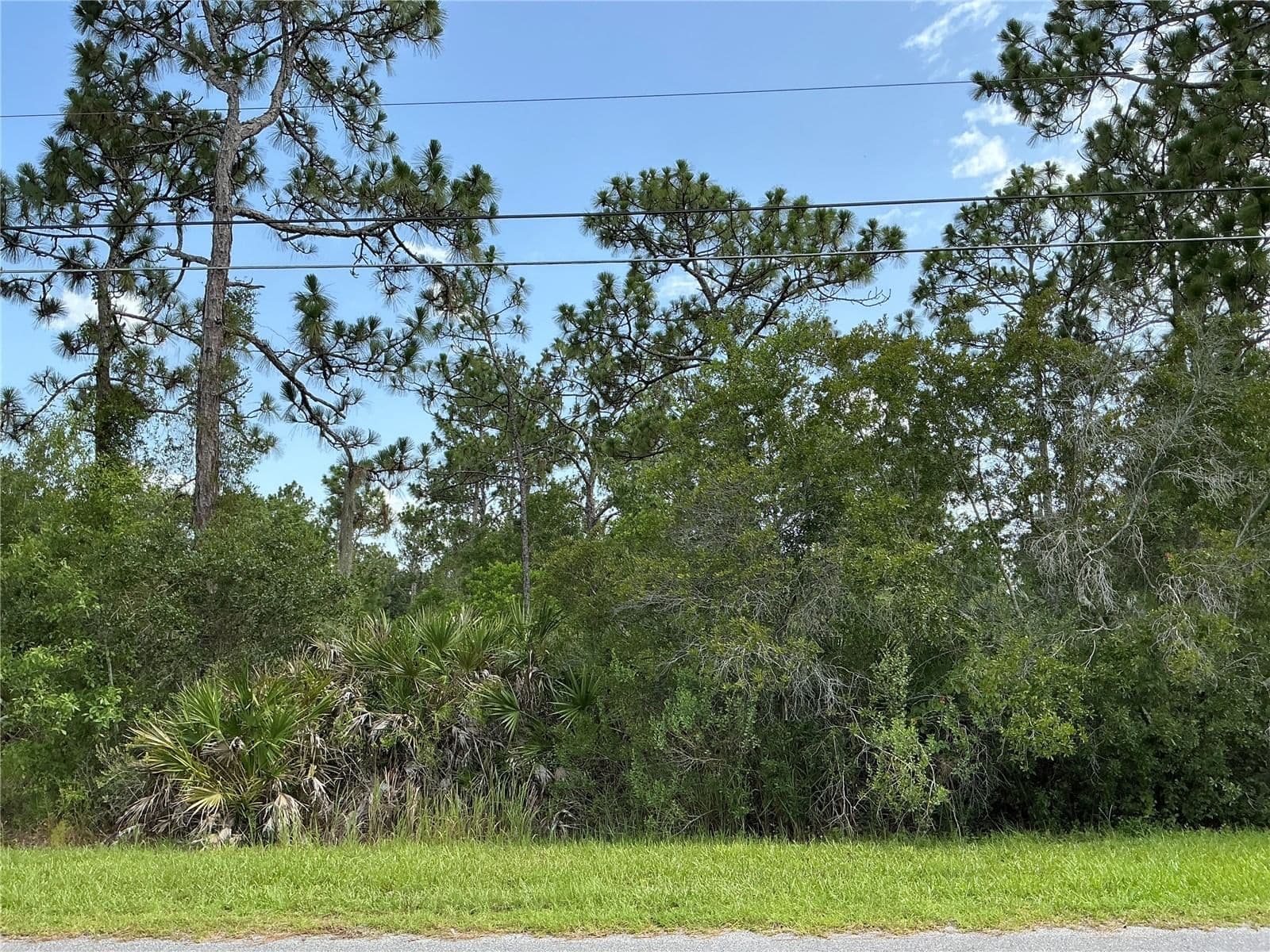 LOT 22 PEABODY