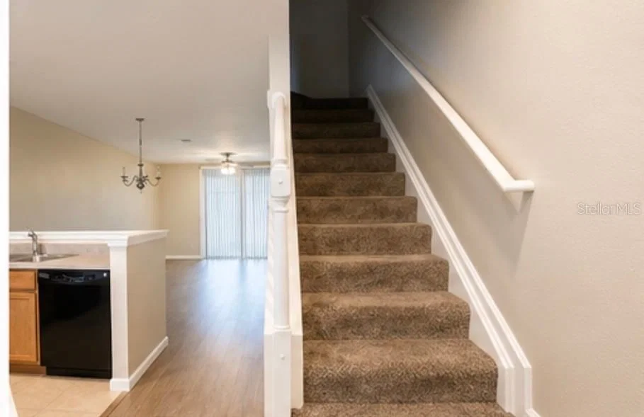 Photo 5 of 4901 45TH Street