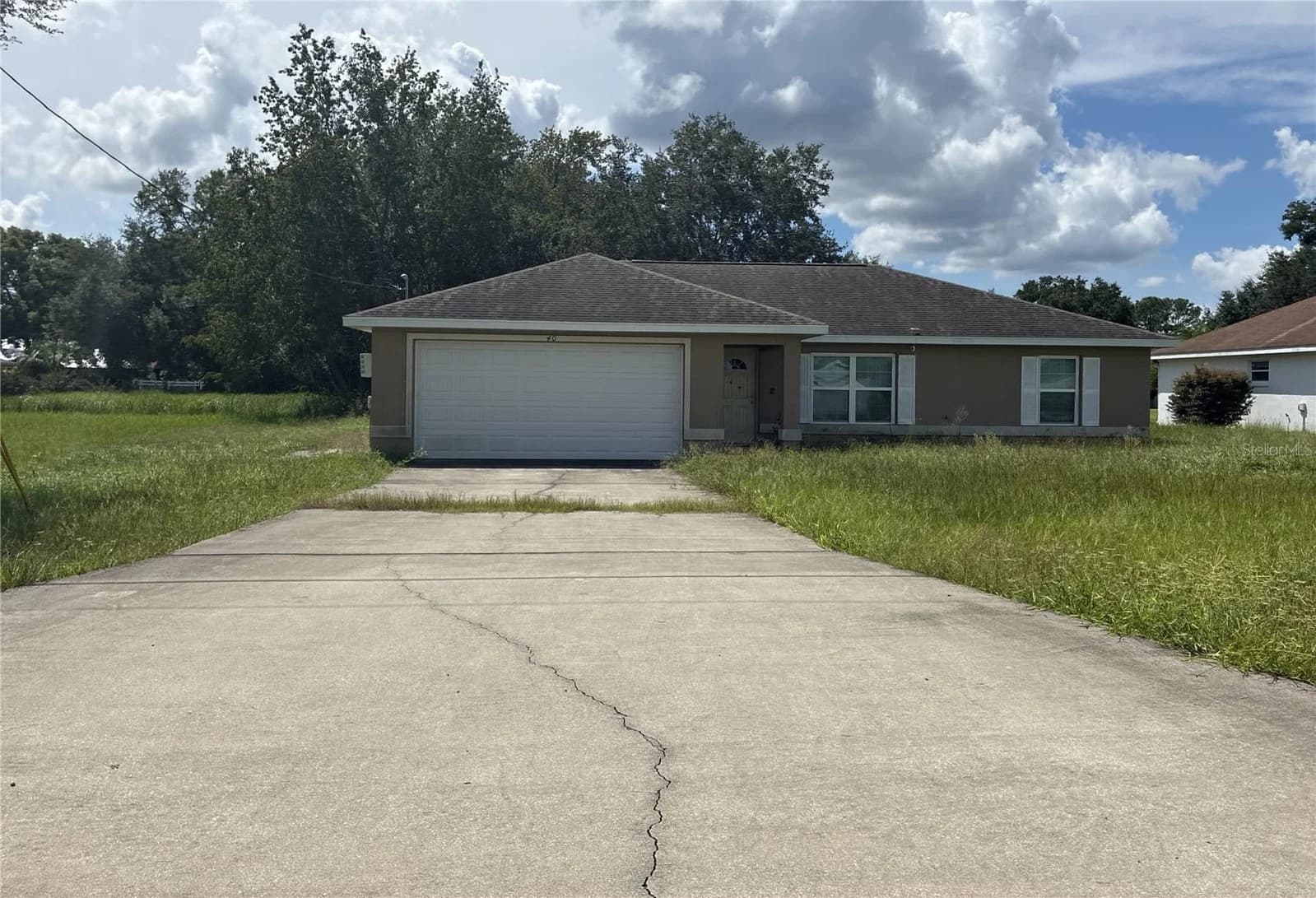 40 PINE Trace