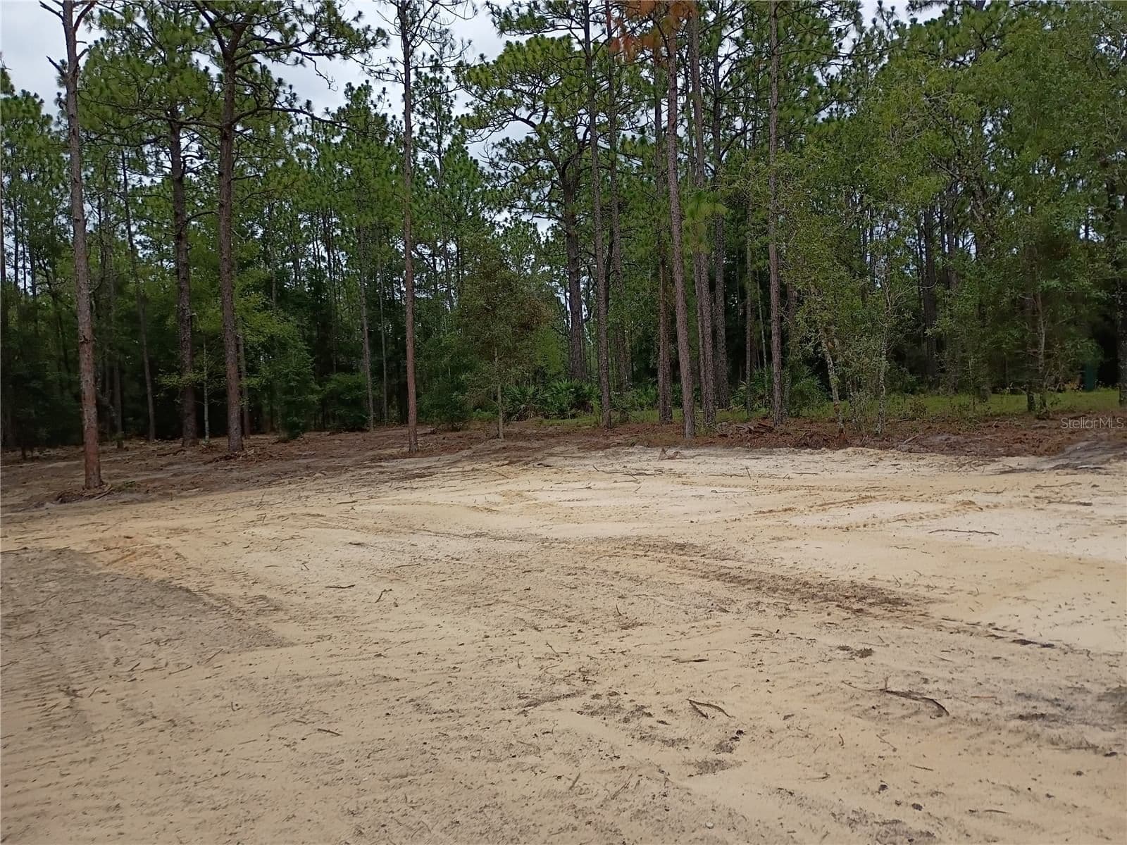 Photo 5 of 16327 24TH Place