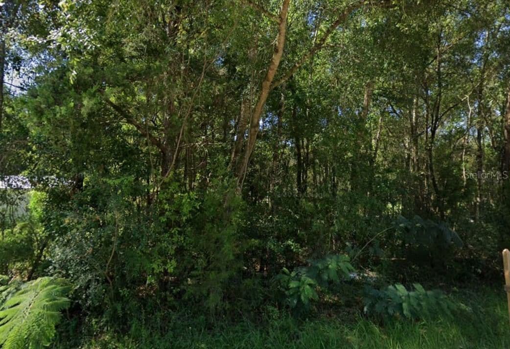 Photo 4 of Lot 12 12TH Lane