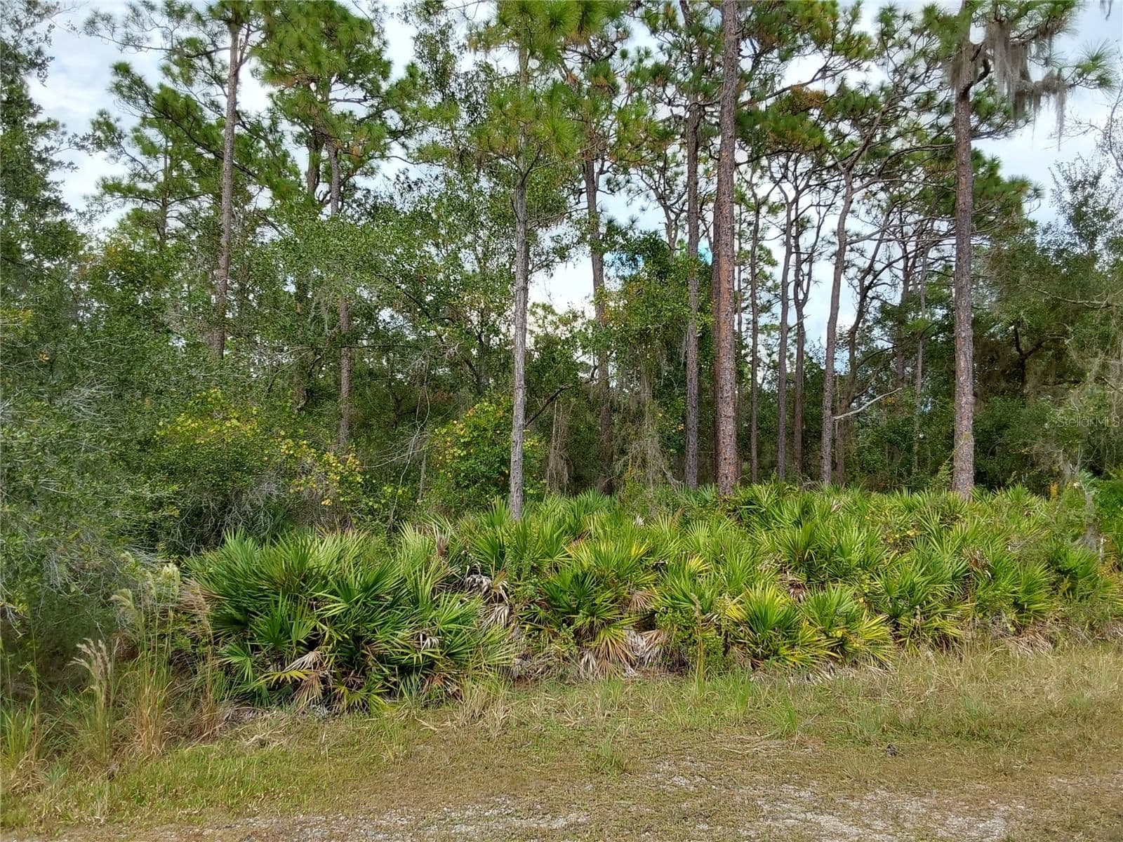 Photo 5 of LOT 29 SHORE