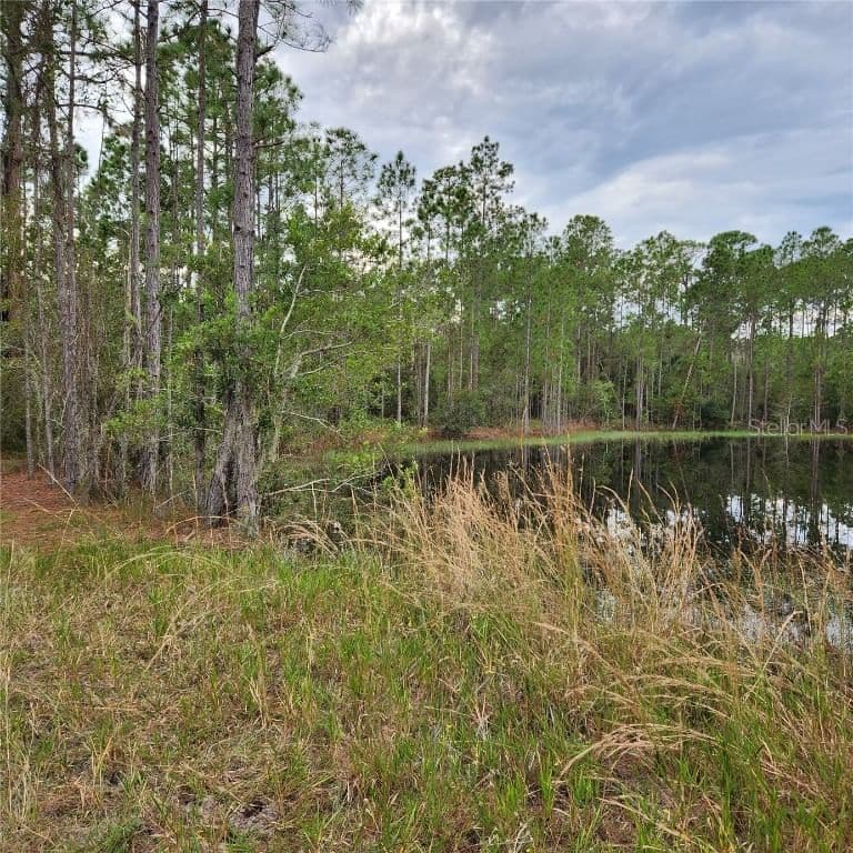 Photo 5 of LOT 2 SHORE