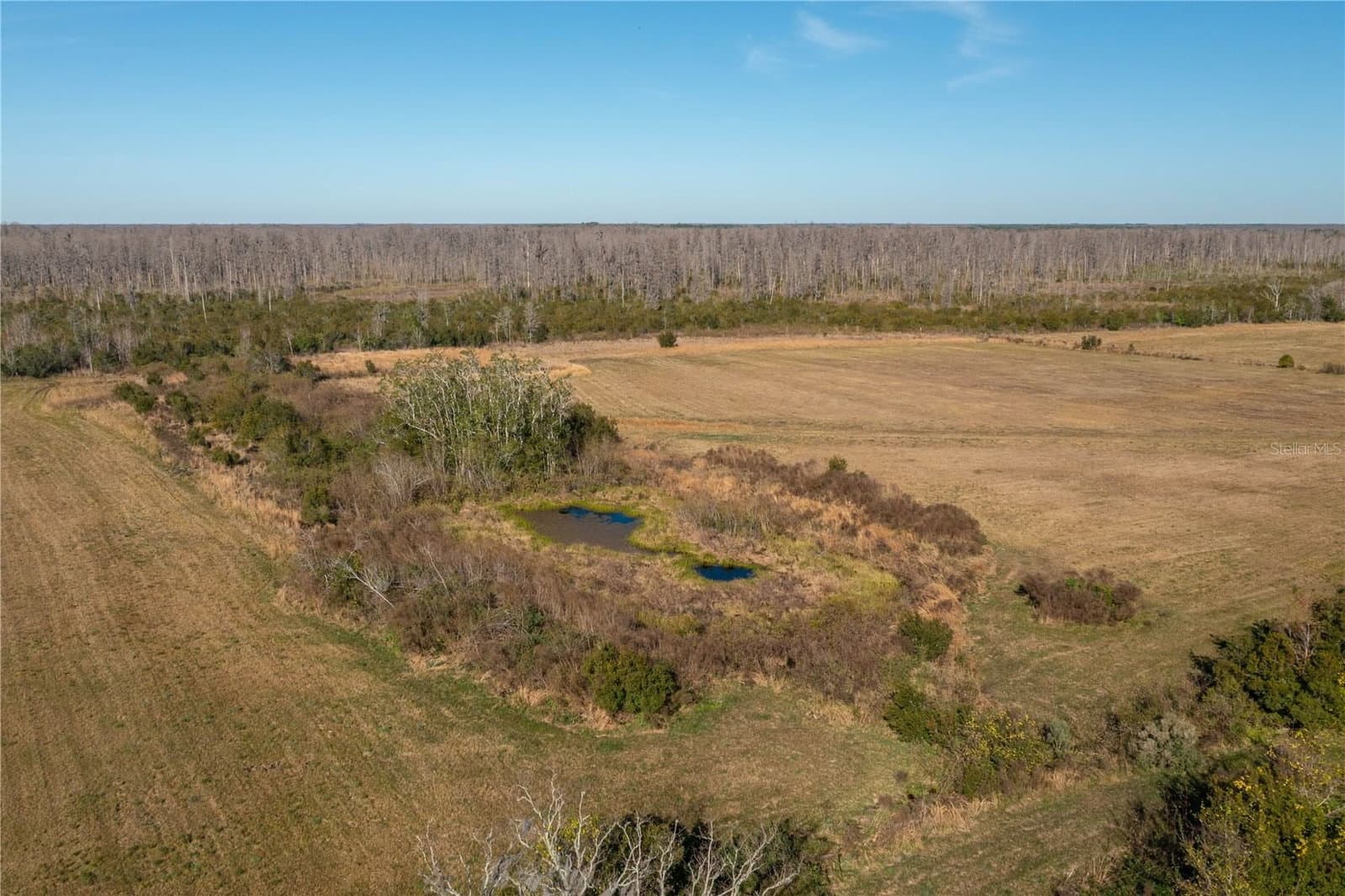 Photo 5 of 601 DIAMOND ACRES