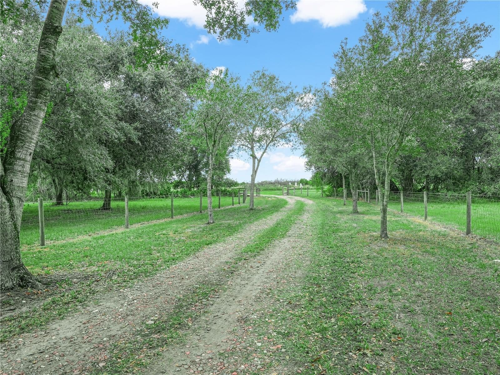 3963 MAMMOTH GROVE
