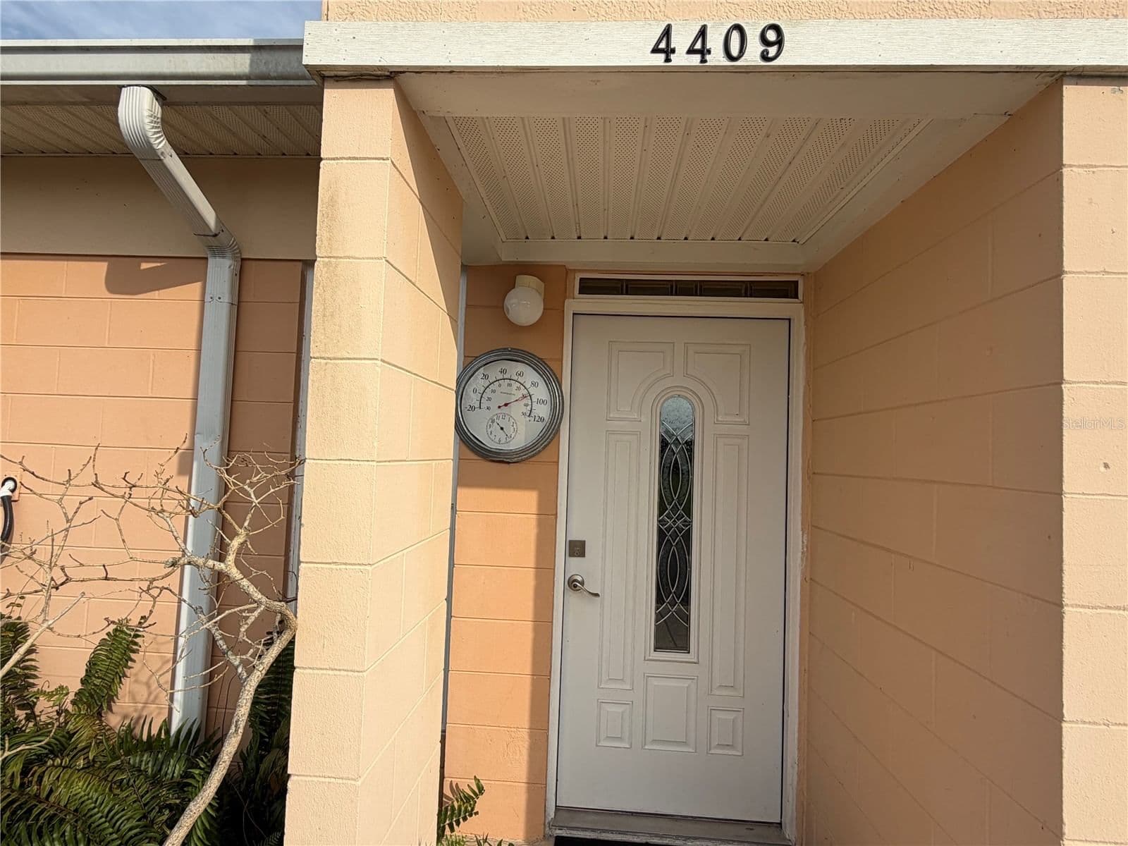 4409 CLUB