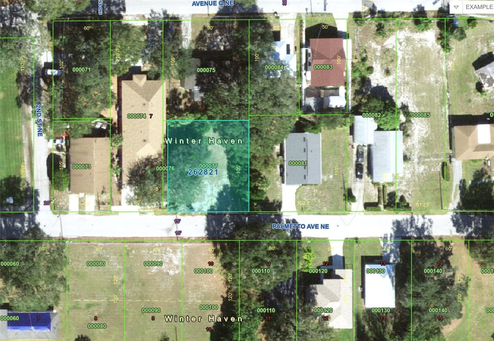 223 PALMETTO