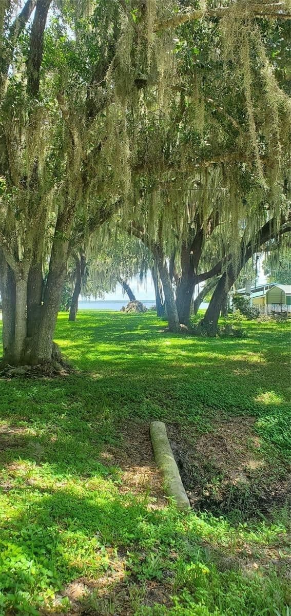 Photo 5 of BEACH PARKWAY