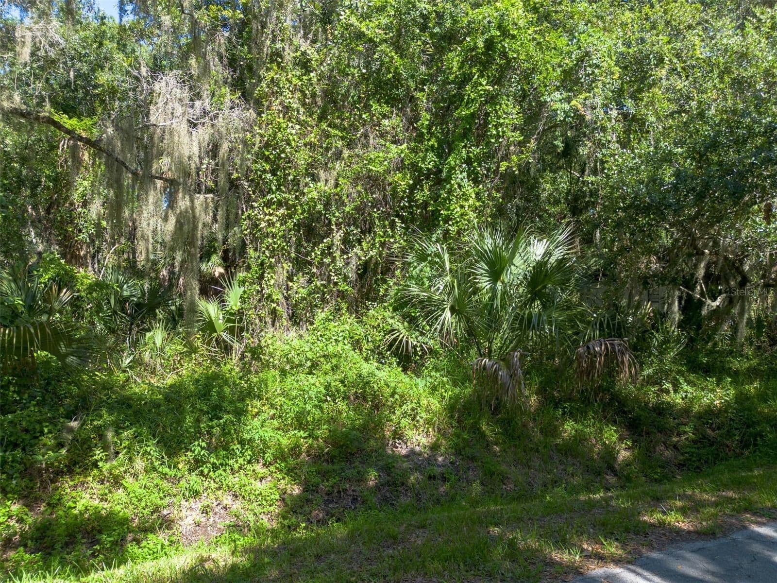 BEACH PARKWAY