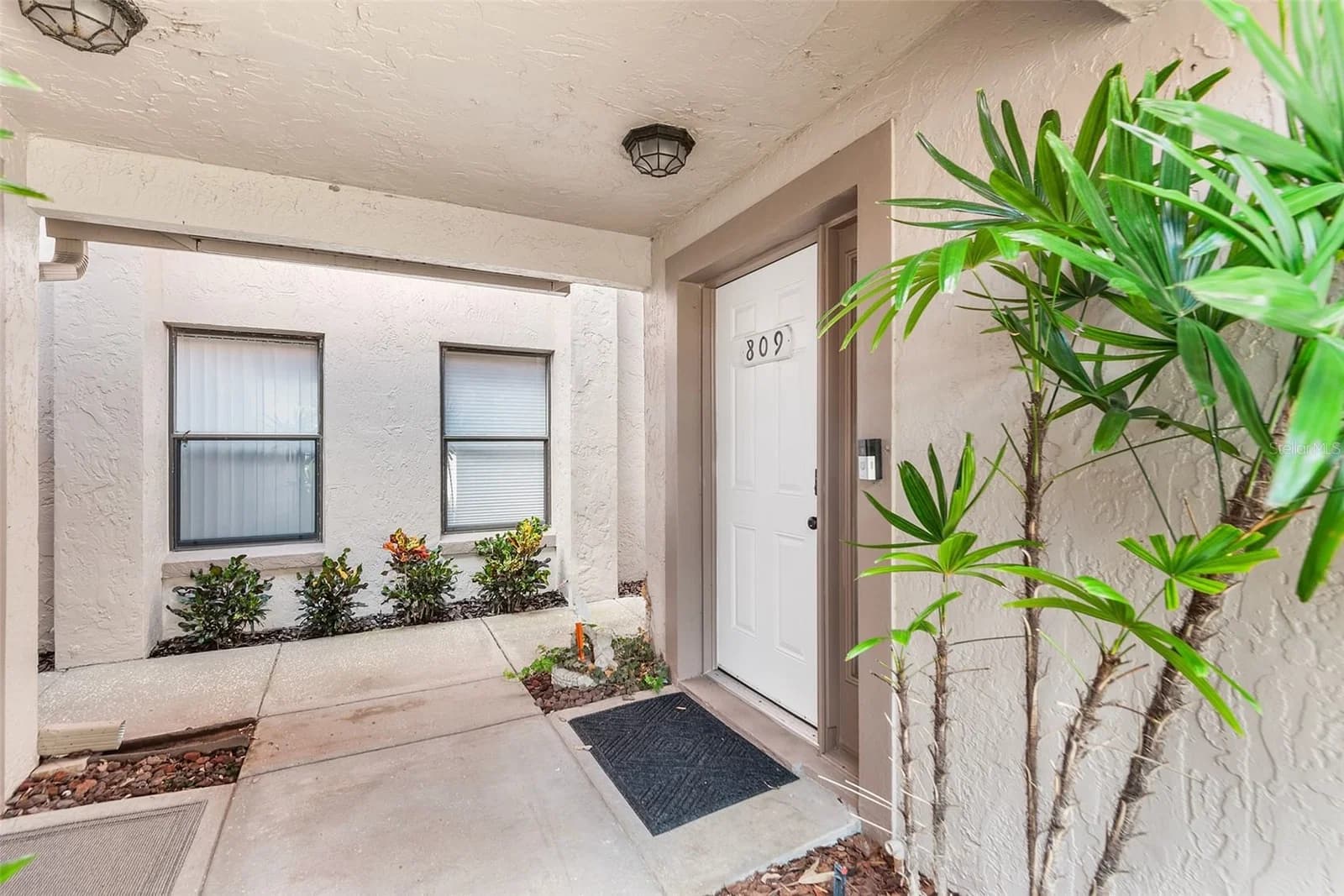 809 MAGNOLIA Place