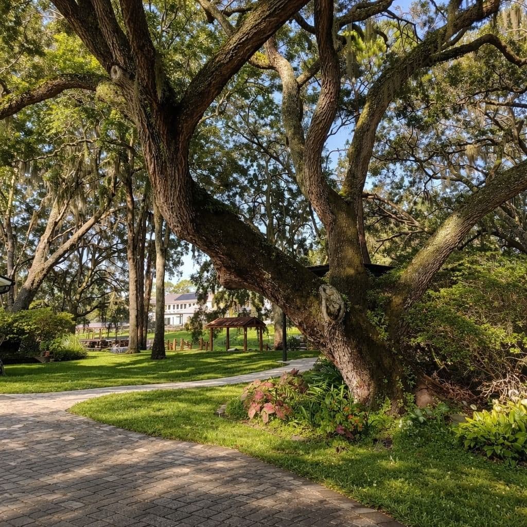 11102 SHADY OAK