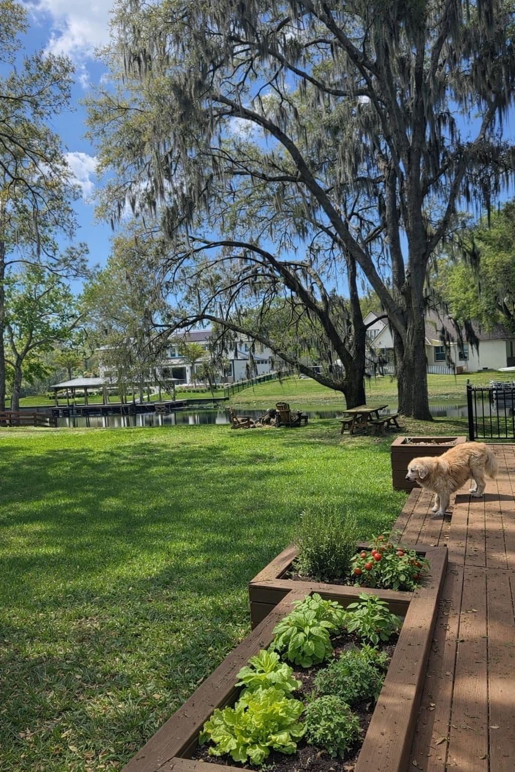Photo 4 of 11102 SHADY OAK