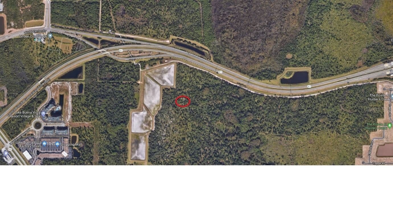 APOPKA VINELAND