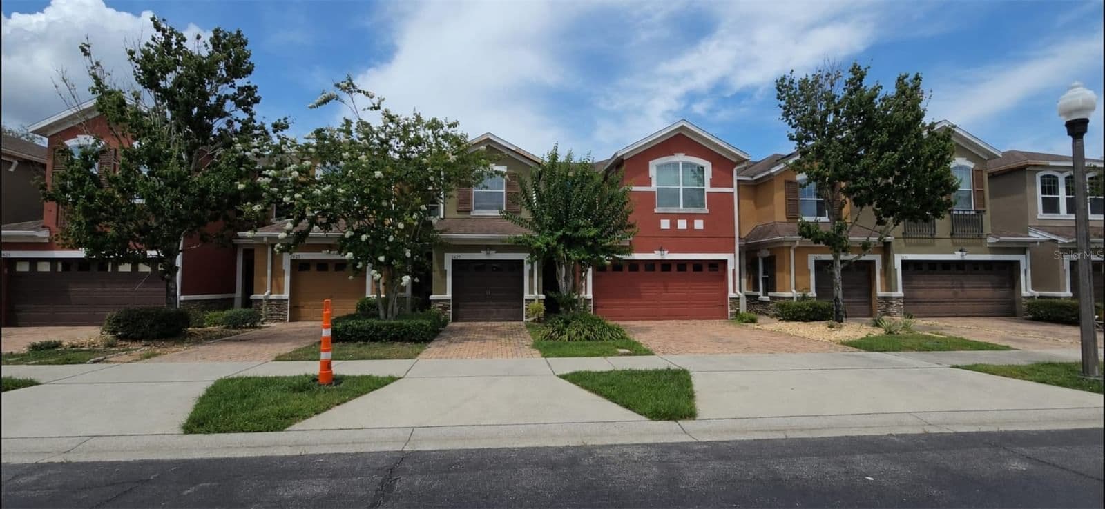 9637 SILVER BUTTONWOOD