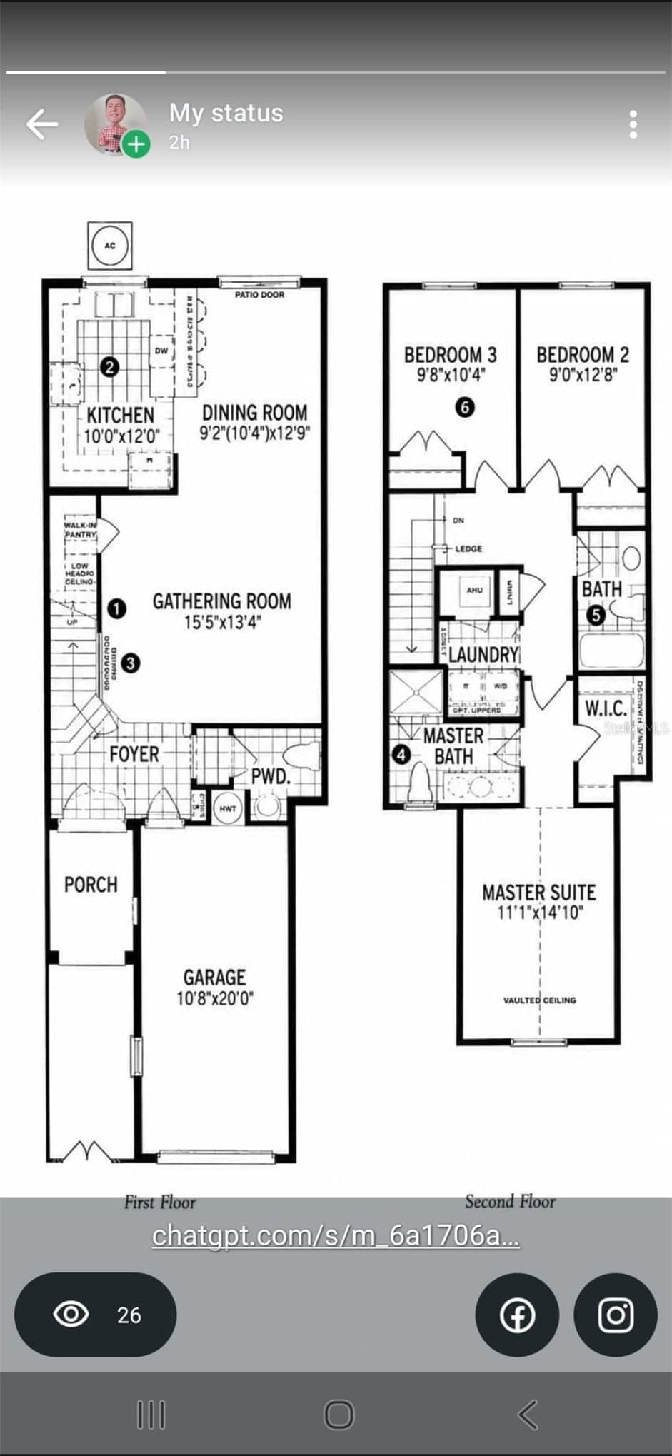 9637 SILVER BUTTONWOOD