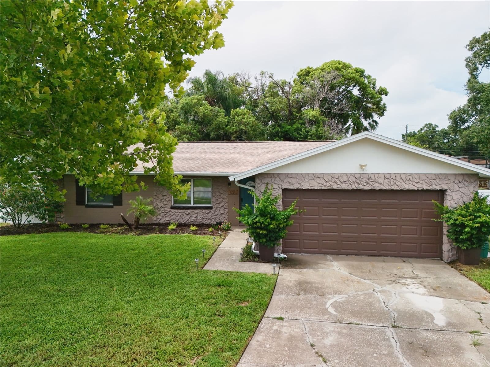 5331 OAK