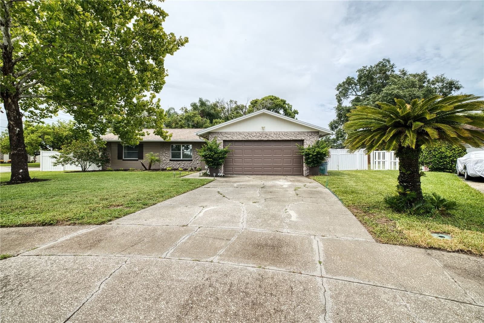 5331 OAK